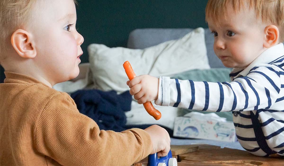 Fingerfood für Babys und Kleinkinder